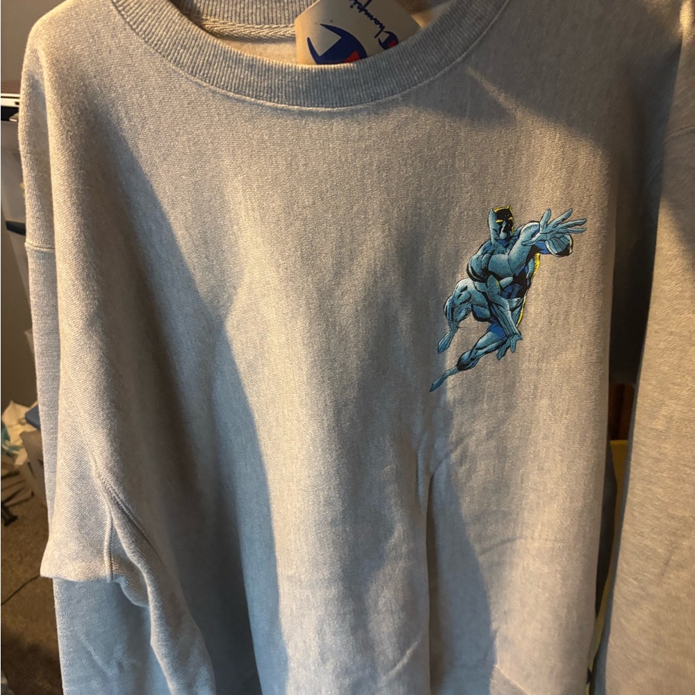 Champion sweatshirt